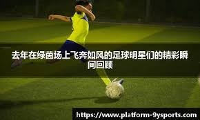 帕尔马1-0比萨，贝内迪恰克点射制胜