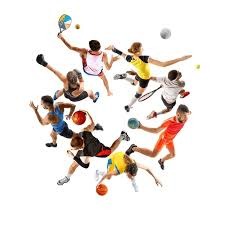 2025年赌博新闻受信任权威