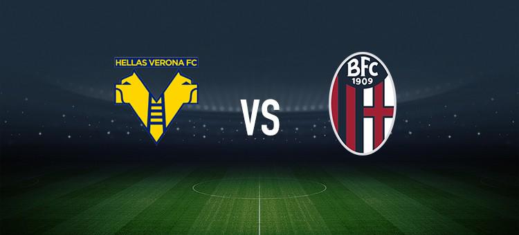 着细致的赛 着细致的赛