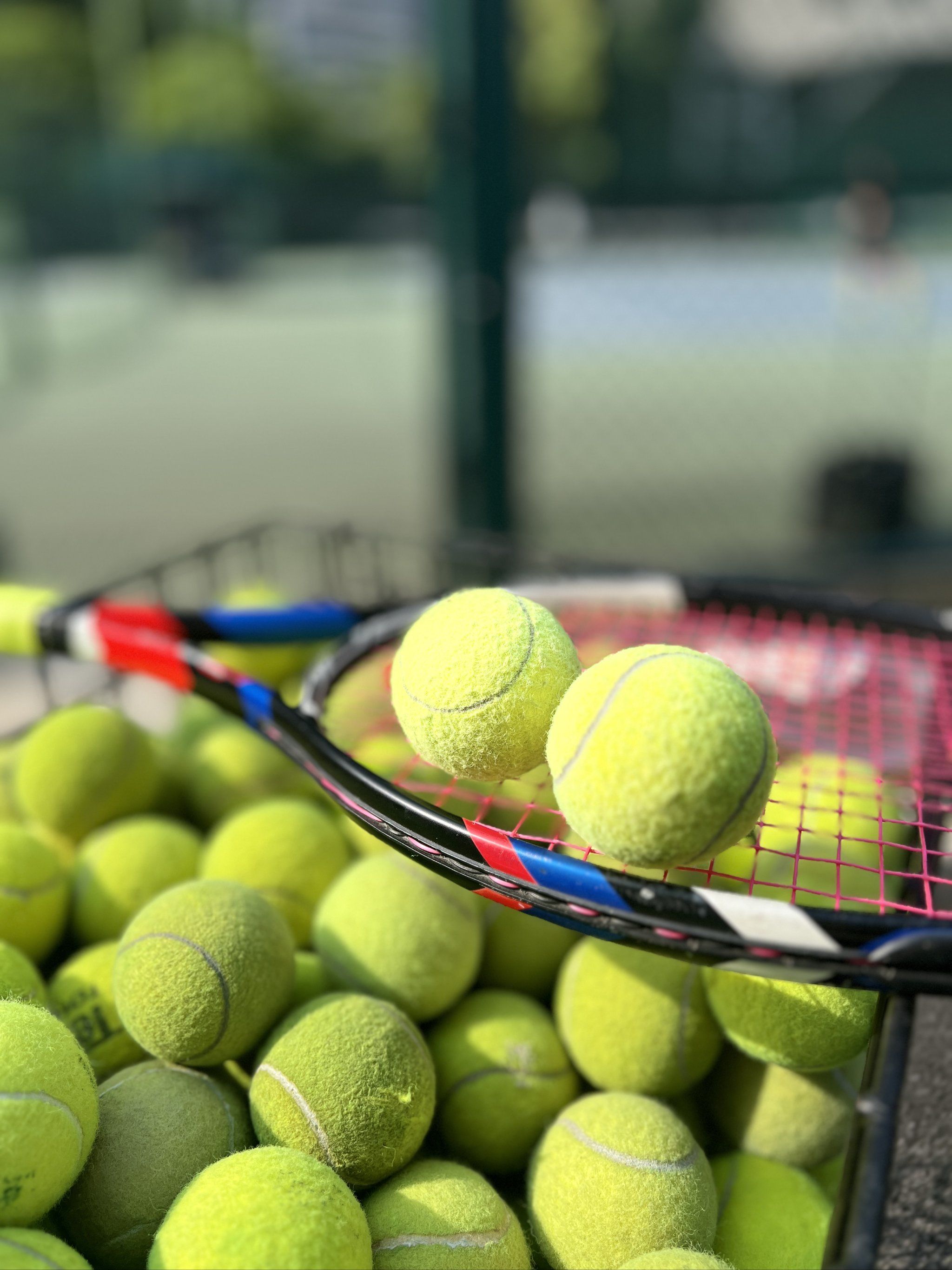 范加尔的这 范加尔的这