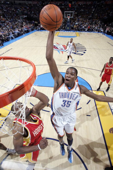 向日葵花盘 向日葵花盘